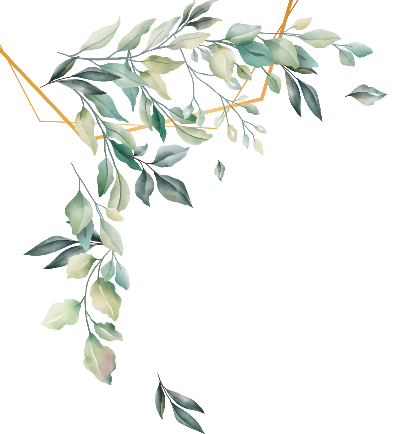 Borde Superior Izquierdo